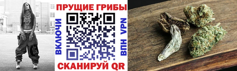 Псилоцибиновые грибы мицелий  даркнет сайт  Арамиль 